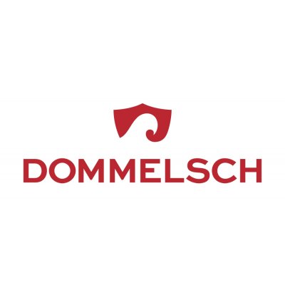 Dommelsch 20 liter