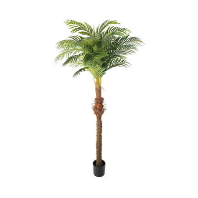 Verhuur: Kunstpalm Hawaii 220cm