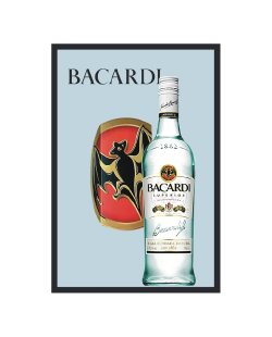 Bacardi spiegel - Fles & logo