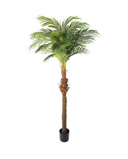 Verhuur: Kunstpalm Hawaii 220cm