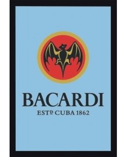 Bacardi spiegel 2