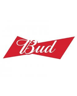 Bud 20 liter fust