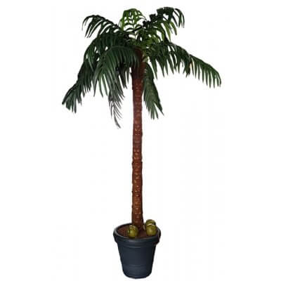 Verhuur:  Kunst palmboom +- 3,50 m hoog